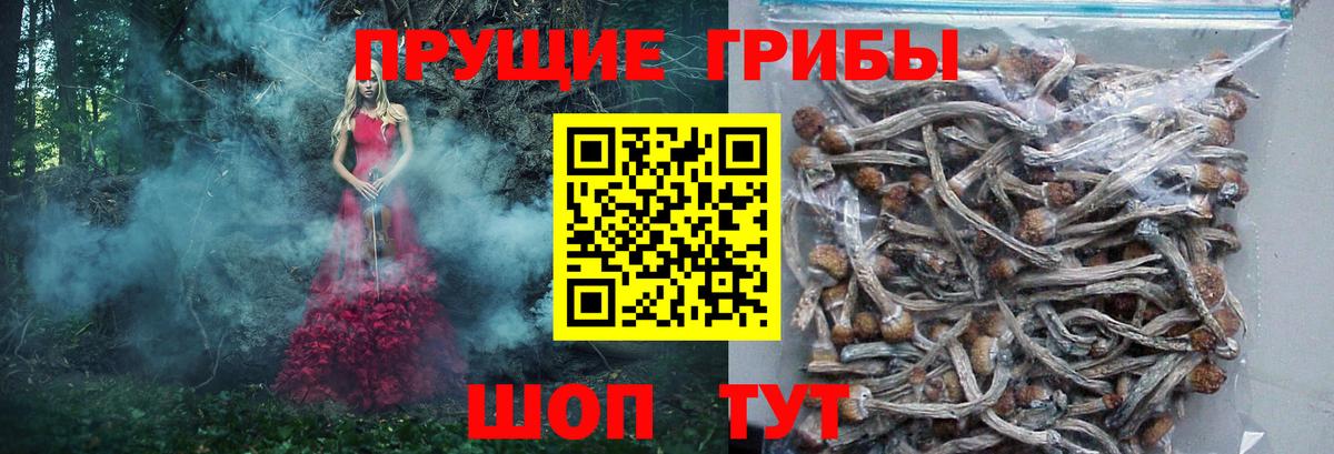 Галлюциногенные грибы Psilocybine cubensis  Псилоцибиновые грибы Psilocybine cubensis  Вход с VPN  Тюмень 