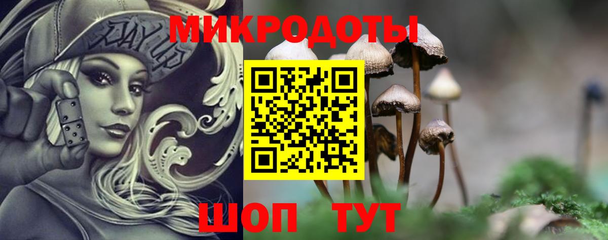 Псилоцибиновые грибы Psilocybe Тюмень